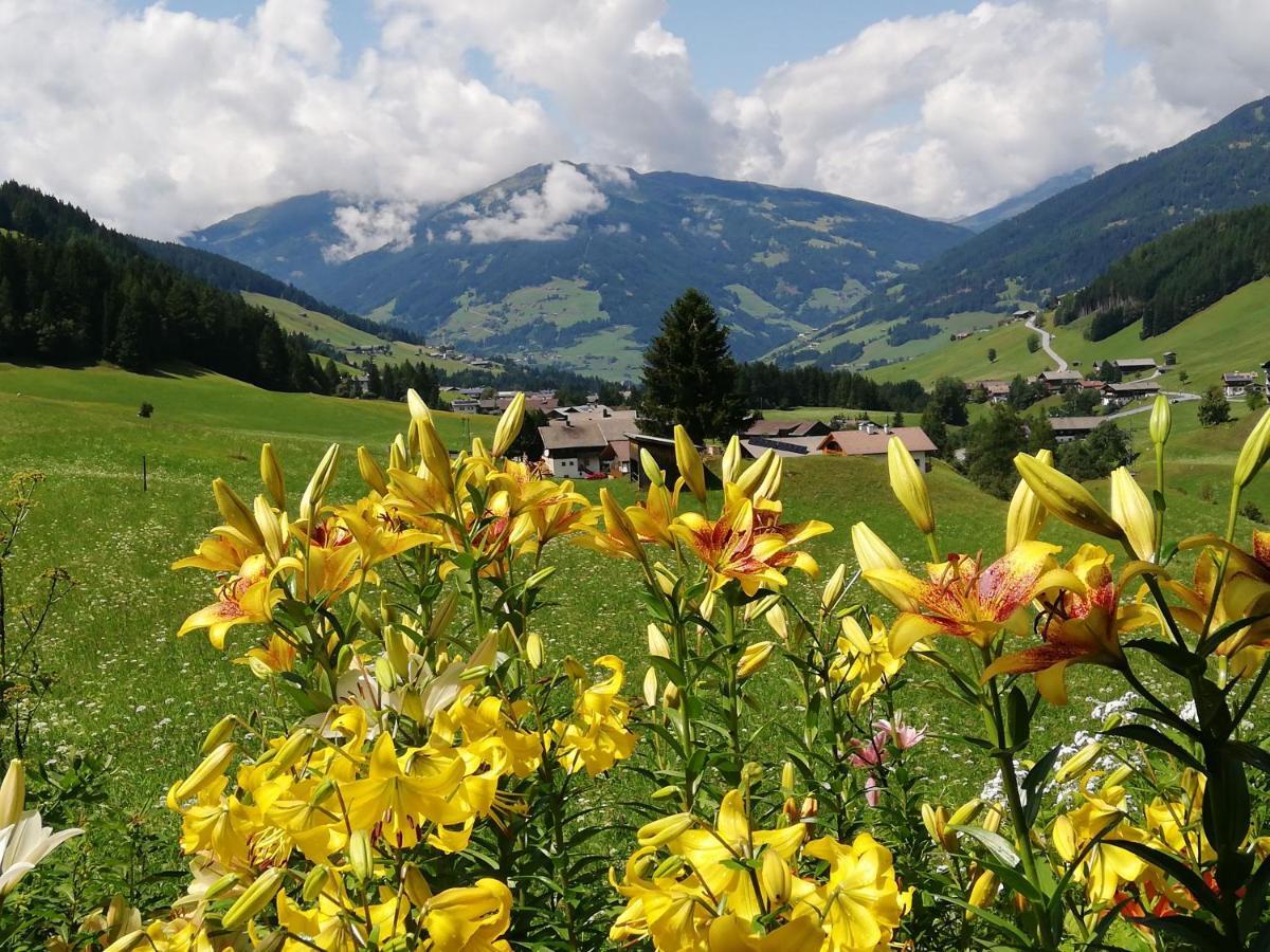 Haus Annemarie Apartments Kartitsch - Hochpustertal Bagian luar foto